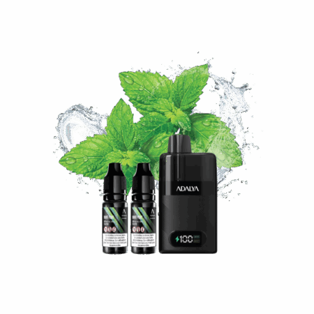 Puff Adalya Levo 30k 2% Nicotine (100% légale) - Mint Point