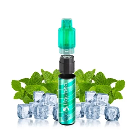 Wpuff Fusion 2.0 - 15 000 Puffs - Liquideo - Menthe Fraîche