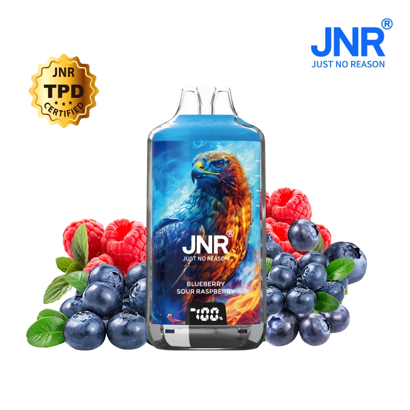 JNR Falcon 28000 Puff Blueberry Sour Raspberry 2% Nicotine (100% légale)